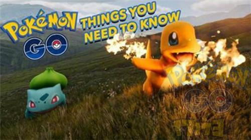 Pokemon精靈寶可夢GO稀有精靈刷新規(guī)律