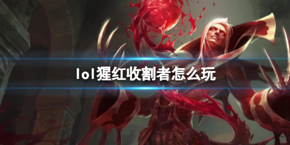 韭游網1